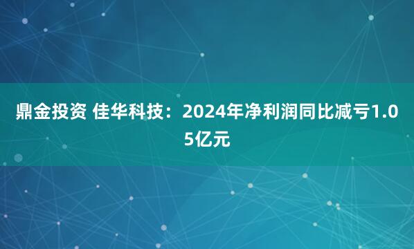 鼎金投资 佳华科技：2024年净利润同比减亏1.05亿元